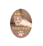 もこの日常すたんぷ（個別スタンプ：10）