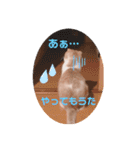 もこの日常すたんぷ（個別スタンプ：12）
