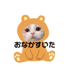 もこの日常すたんぷ（個別スタンプ：14）
