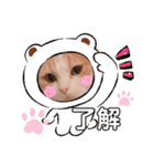 もこの日常すたんぷ（個別スタンプ：15）