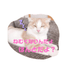 もこの日常すたんぷ（個別スタンプ：16）