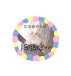 もこの日常すたんぷ（個別スタンプ：17）