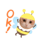 もこの日常すたんぷ（個別スタンプ：23）