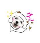 マルチーズのルウ天びび4（個別スタンプ：35）