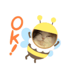 むぎニャン stamp（個別スタンプ：3）