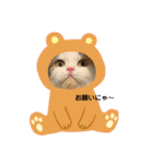むぎニャン stamp（個別スタンプ：7）