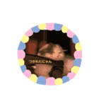 むぎニャン stamp（個別スタンプ：14）