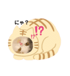 むぎニャン stamp（個別スタンプ：16）