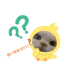 むぎニャン stamp（個別スタンプ：19）