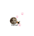 むぎニャン stamp（個別スタンプ：23）