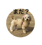 ぷっこまの日常（個別スタンプ：4）