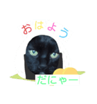 ゆうちゃんだにゃー（個別スタンプ：7）