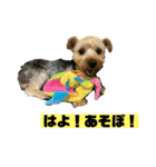 旭ぽんず（個別スタンプ：3）