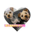 旭ぽんず（個別スタンプ：5）