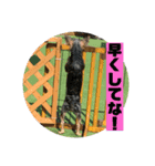 旭ぽんず（個別スタンプ：6）