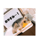 旭ぽんず（個別スタンプ：7）