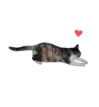 ただ可愛い猫を送りたいだけ～みみ～（個別スタンプ：8）