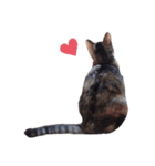 ただ可愛い猫を送りたいだけ～みみ～（個別スタンプ：10）