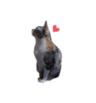 ただ可愛い猫を送りたいだけ～みみ～（個別スタンプ：40）