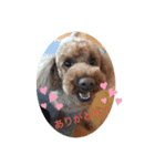 The Don（個別スタンプ：6）