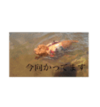 The Don（個別スタンプ：7）