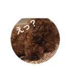 The Don（個別スタンプ：8）
