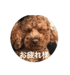 The Don（個別スタンプ：14）