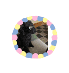 黒プースタ（個別スタンプ：8）