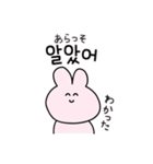 韓国語ウサギ(ハングル＆翻訳)（個別スタンプ：18）
