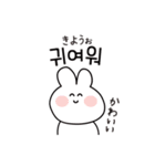 韓国語ウサギ(ハングル＆翻訳)（個別スタンプ：23）
