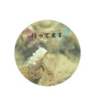 ウミウシ好き（個別スタンプ：16）