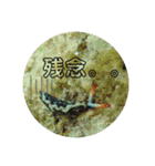 ウミウシ好き（個別スタンプ：17）