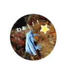 ウミウシ好き（個別スタンプ：19）