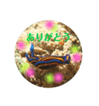 ウミウシ好き（個別スタンプ：21）