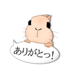 ふきだしうさぎーず（個別スタンプ：10）