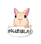 ふきだしうさぎーず（個別スタンプ：24）