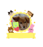 とびちゃん よく使うパック②（個別スタンプ：3）