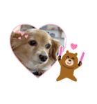 とびちゃん よく使うパック②（個別スタンプ：7）