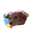 とびちゃん よく使うパック②（個別スタンプ：10）