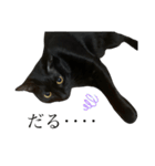 うちの黒猫のナチちゃん（個別スタンプ：12）