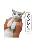 みっきゃとすずちゃんの日常（個別スタンプ：6）