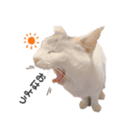 みっきゃとすずちゃんの日常（個別スタンプ：15）