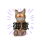 むにゃろ（個別スタンプ：3）