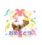 むにゃろ（個別スタンプ：10）