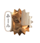 むにゃろ（個別スタンプ：16）
