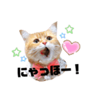 ナノちゃんの日常スタンプ（個別スタンプ：1）