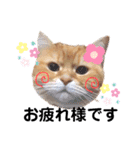 ナノちゃんの日常スタンプ（個別スタンプ：2）