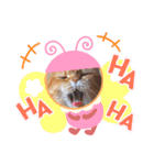 ナノちゃんの日常スタンプ（個別スタンプ：9）