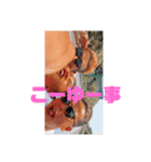 家族だ仲間（個別スタンプ：13）