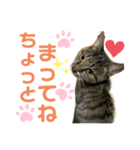 バステトありがとう❤️（個別スタンプ：4）